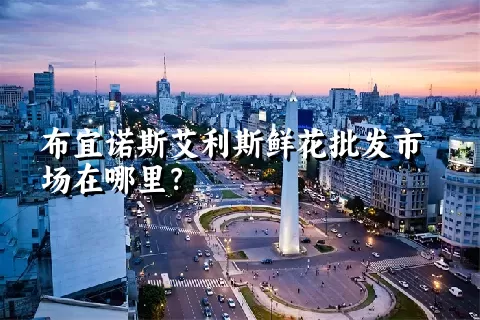 布宜诺斯艾利斯鲜花批发市场在哪里？