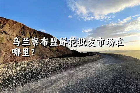 乌兰察布盟鲜花批发市场在哪里？