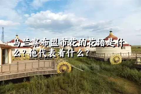 乌兰察布盟市花的花语是什么？他代表着什么？