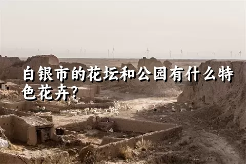 白银市的花坛和公园有什么特色花卉？