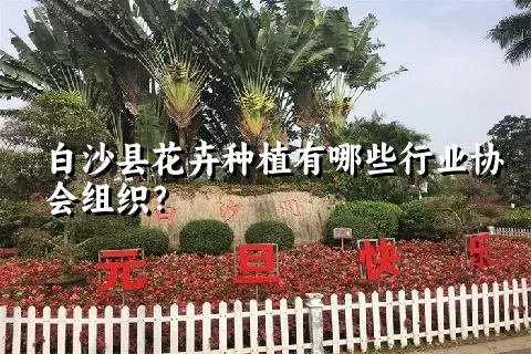 白沙县花卉种植有哪些行业协会组织？