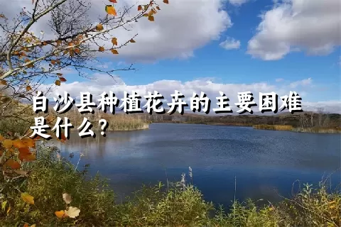 白沙县种植花卉的主要困难是什么？