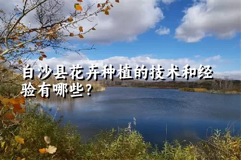 白沙县花卉种植的技术和经验有哪些？