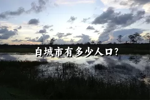 白城市有多少人口？