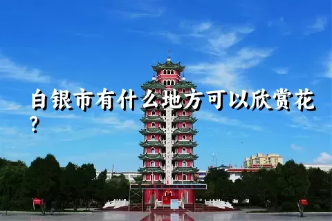 白银市有什么地方可以欣赏花？