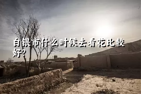 白银市什么时候去看花比较好？