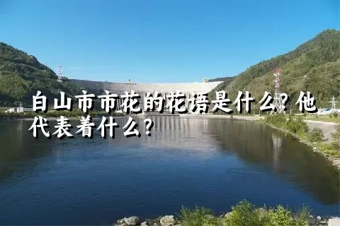 白山市市花的花语是什么？他代表着什么？