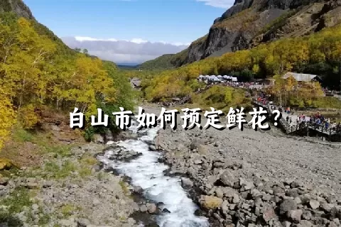 白山市如何预定鲜花？