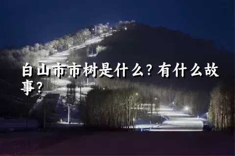 白山市市树是什么？有什么故事？