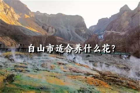 白山市适合养什么花？