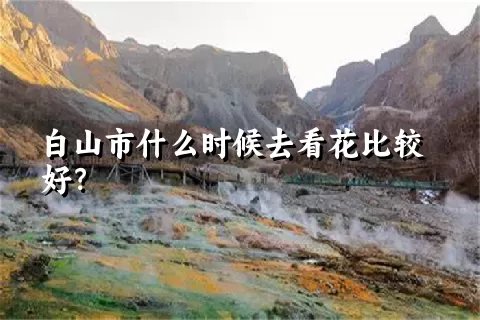 白山市什么时候去看花比较好？