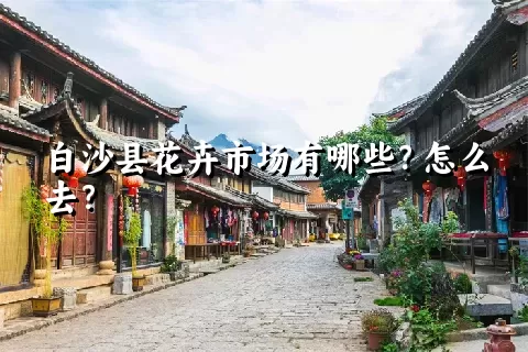 白沙县花卉市场有哪些？怎么去？