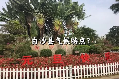 白沙县气候特点？