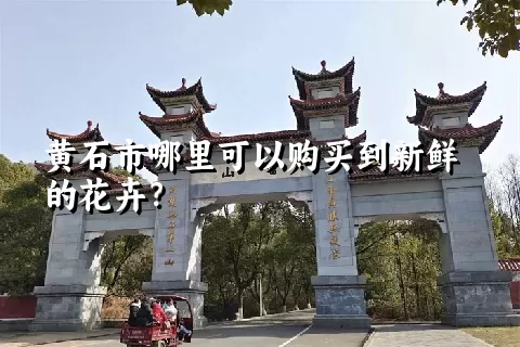 黄石市哪里可以购买到新鲜的花卉？