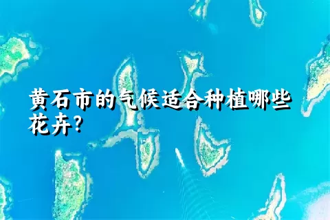 黄石市的气候适合种植哪些花卉？