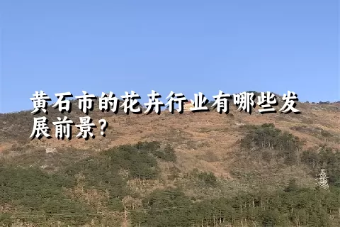 黄石市的花卉行业有哪些发展前景？