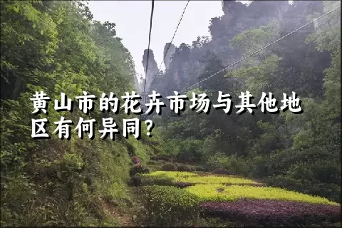 黄山市的花卉市场与其他地区有何异同？