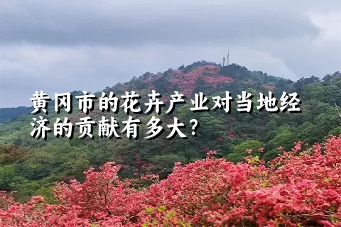 黄冈市的花卉产业对当地经济的贡献有多大？