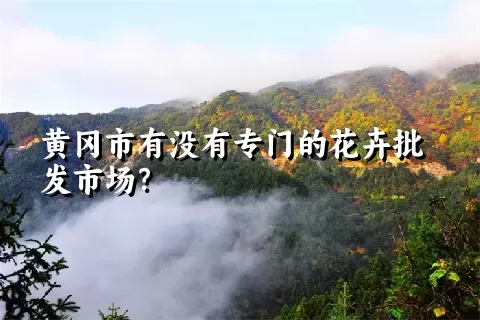 黄冈市有没有专门的花卉批发市场？