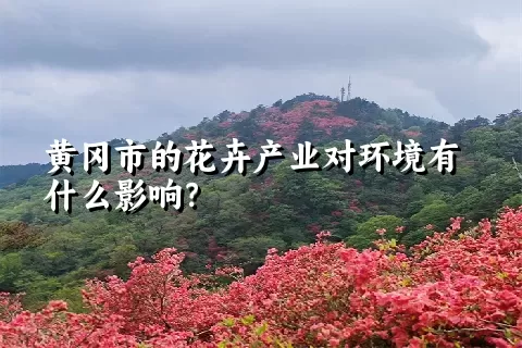 黄冈市的花卉产业对环境有什么影响？