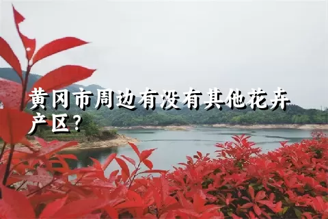 黄冈市周边有没有其他花卉产区？