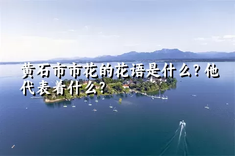 黄石市市花的花语是什么？他代表着什么？