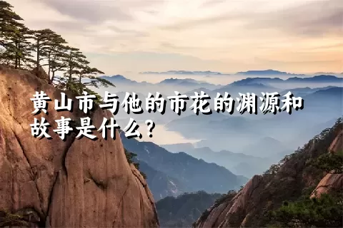 黄山市与他的市花的渊源和故事是什么？