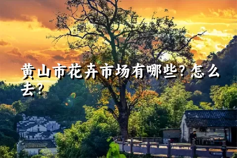 黄山市花卉市场有哪些？怎么去？