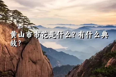 黄山市市花是什么？有什么典故？