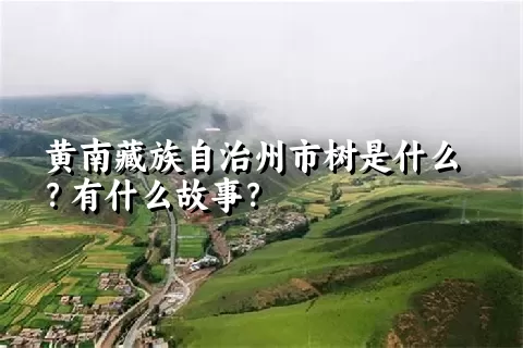 黄南藏族自治州市树是什么？有什么故事？