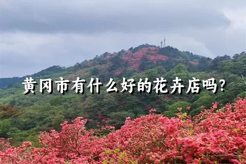 黄冈市有什么好的花卉店吗？