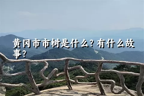 黄冈市市树是什么？有什么故事？