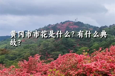 黄冈市市花是什么？有什么典故？