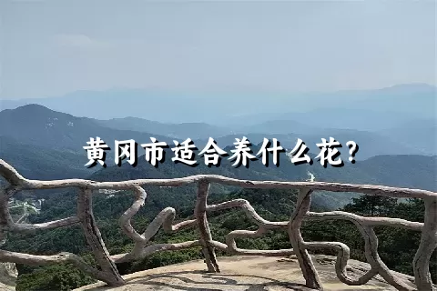 黄冈市适合养什么花？