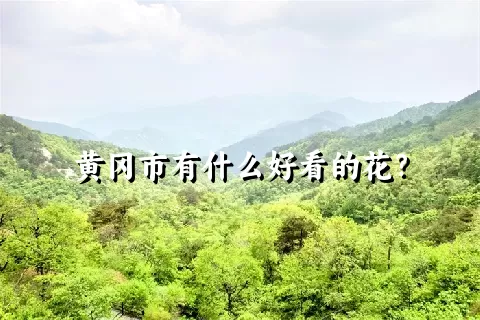 黄冈市有什么好看的花？