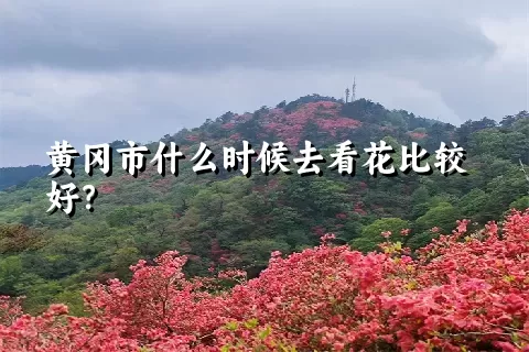 黄冈市什么时候去看花比较好？