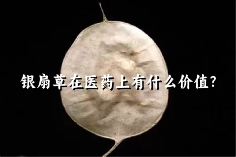 银扇草在医药上有什么价值？