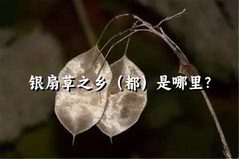 银扇草之乡（都）是哪里？