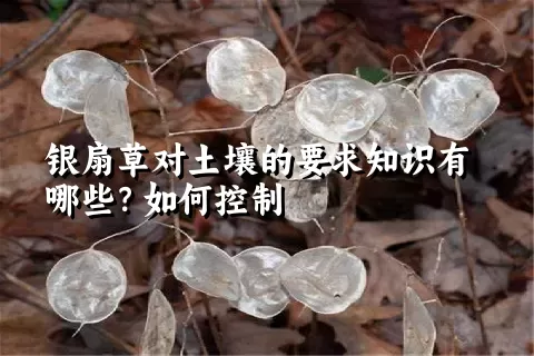 银扇草对土壤的要求知识有哪些？如何控制