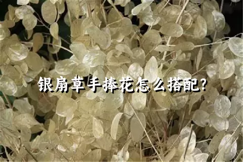 银扇草手捧花怎么搭配？