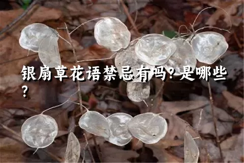 银扇草花语禁忌有吗？是哪些？