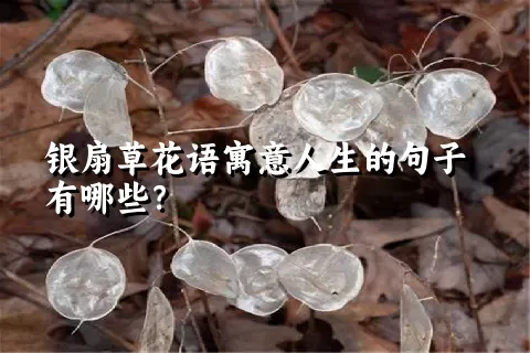 银扇草花语寓意人生的句子有哪些？