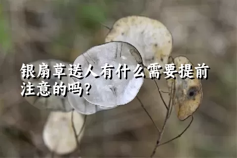 银扇草送人有什么需要提前注意的吗？