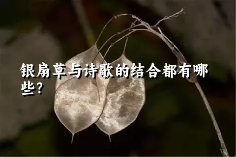 银扇草与诗歌的结合都有哪些？