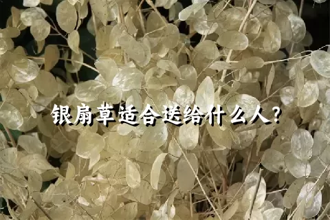 银扇草适合送给什么人？