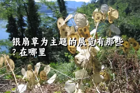 银扇草为主题的展览有那些？在哪里