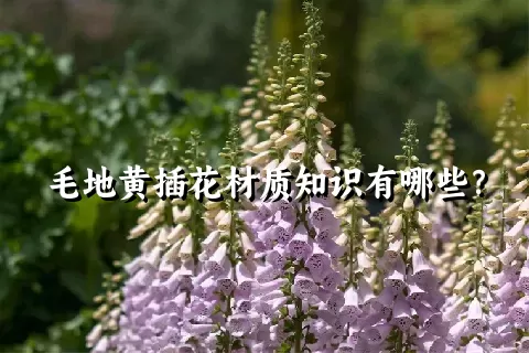 毛地黄插花材质知识有哪些？