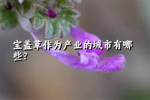 宝盖草作为产业的城市有哪些？