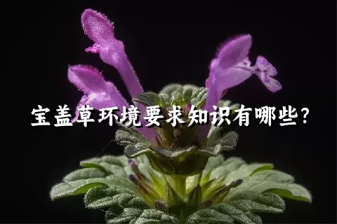 宝盖草环境要求知识有哪些？