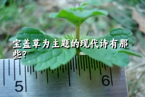 宝盖草为主题的现代诗有那些？